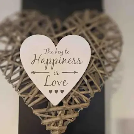 Square In Old Town Rovinj- Free Parking Near